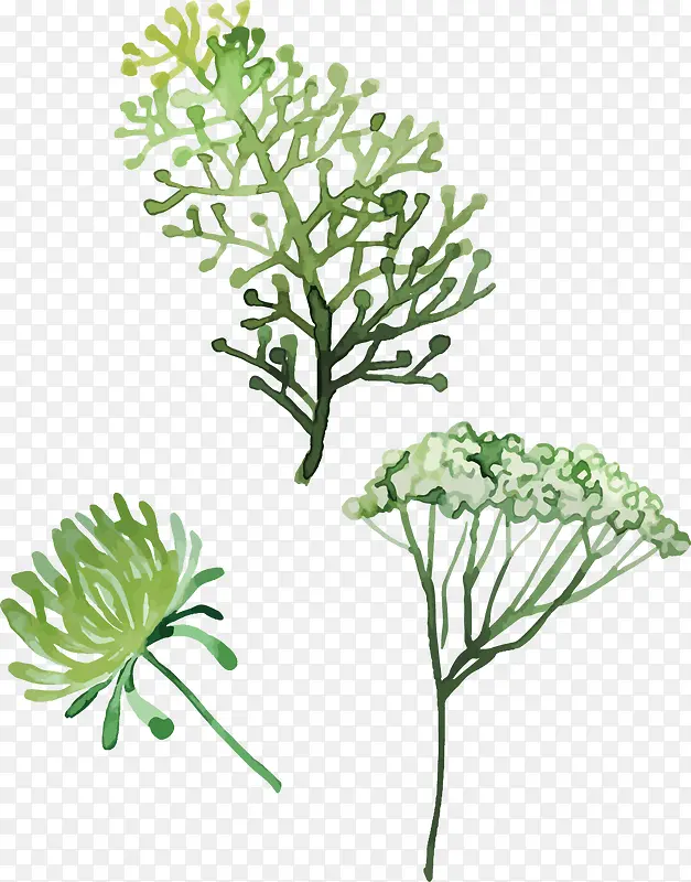 ˮ���ֻ滨��-������