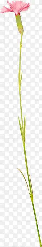 �ֻ�װ��ͼƬ����ͼ��-������