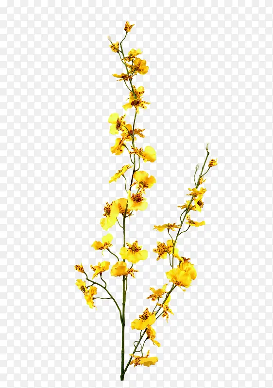 ��������ز�-������