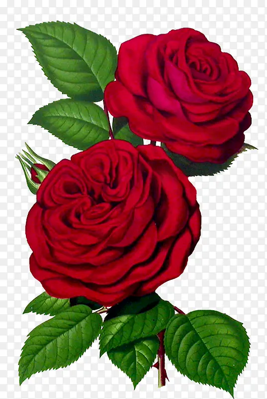 ���ܱ����ز��ֻ�װ��-������