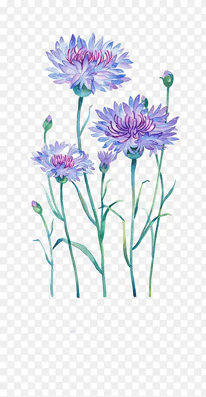 Ψ���ֻ��ʻ�-������