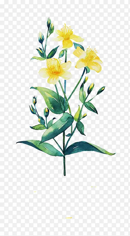 Ψ���ֻ��ʻ�-������