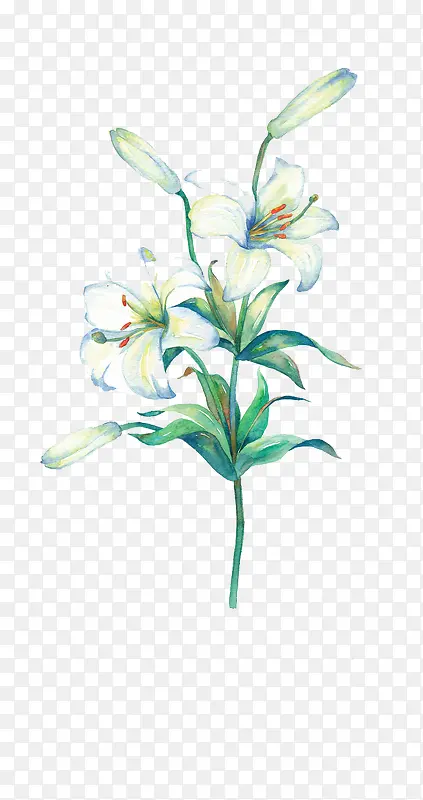 Ψ���ֻ��ʻ�-������