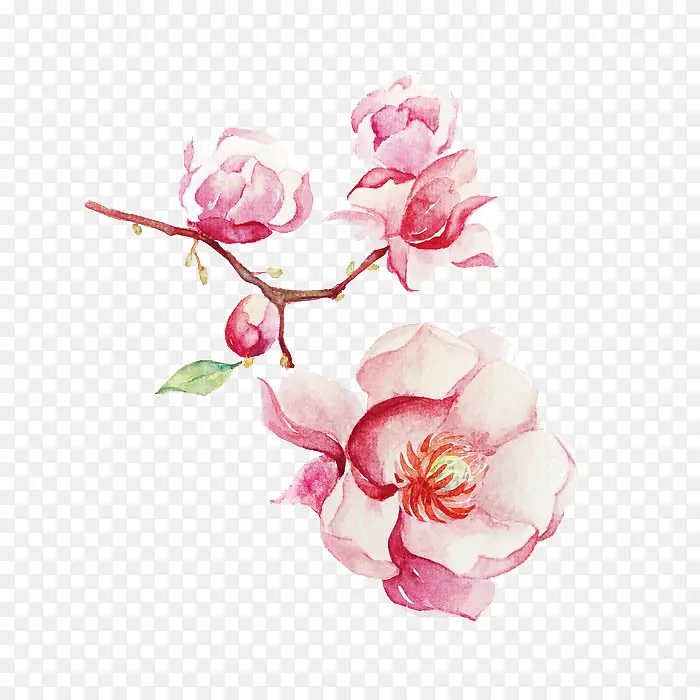 Ψ���ֻ��ʻ�-������