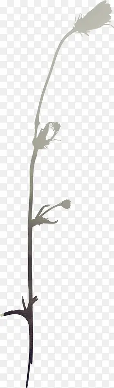 ����ʸ���زĻ���ͼ��-������