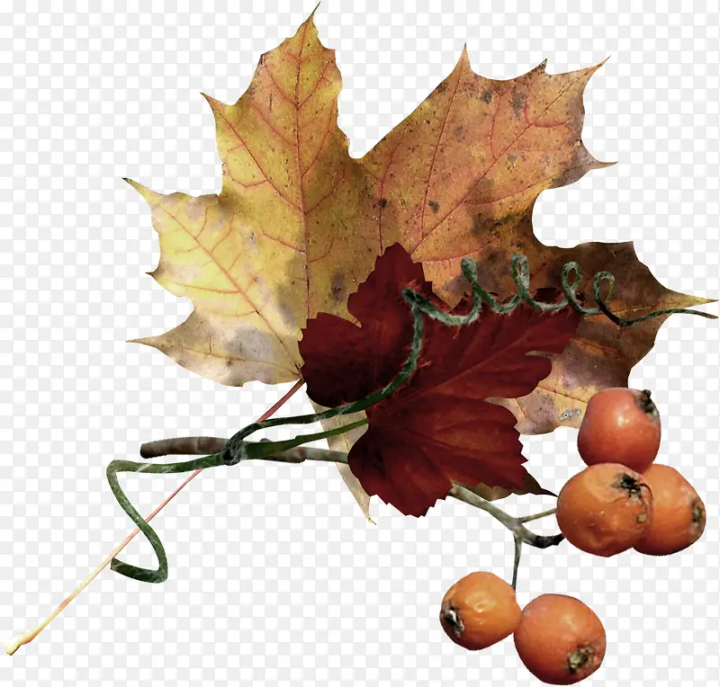 �����ز�ˮ�ʻ����ز�-������