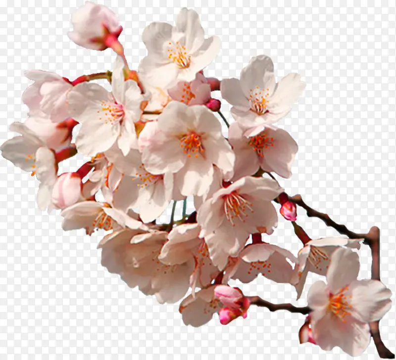 ʸ�������ز�װ��ͼƬ-������