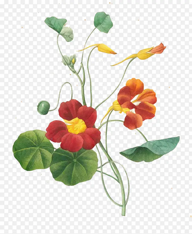 �ֻ�-������