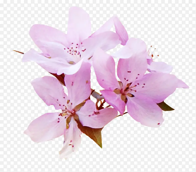 ����ʸ���زĻ����ز�-������