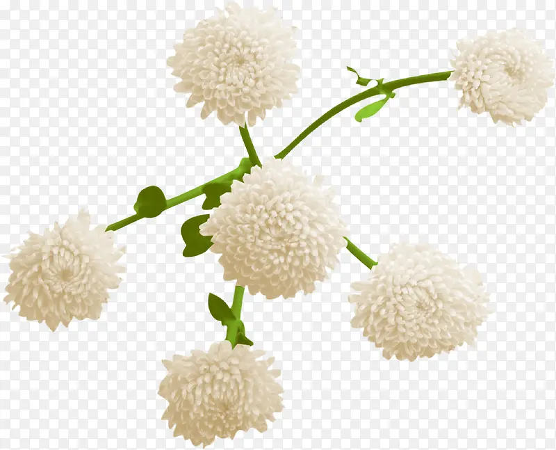 ˮ�ʻ����ز��ֻ滨���ز�-������