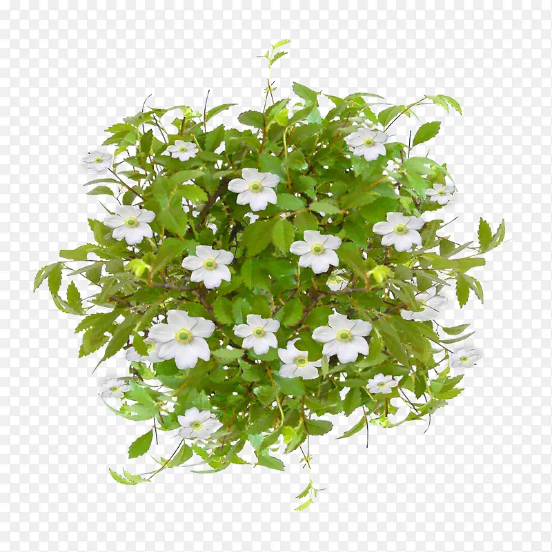 ���������زĻ��ݻ�-������