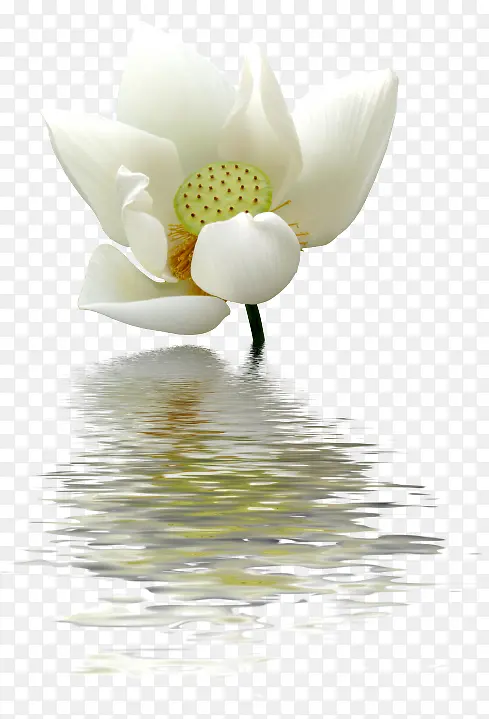 ˮ�ʻ���ps�����ز�-������