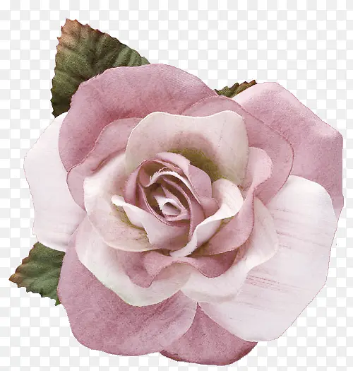 �ֻ滨���زĻ���ͼƬ�ز�-������