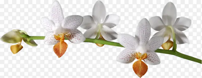 ���ݱ����زĻ���ʸ���ز�-������