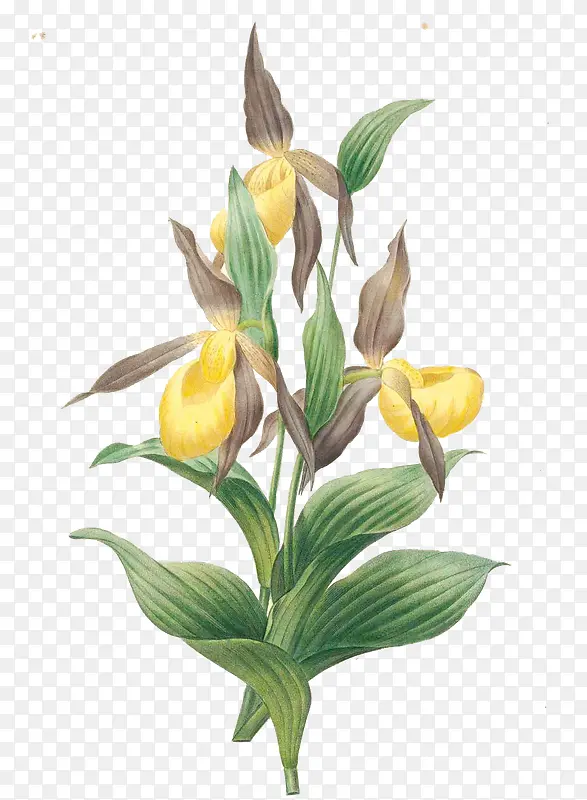 �ֻ�-������