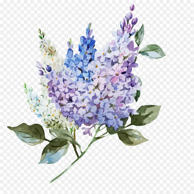 ˮ�ʻ���-������