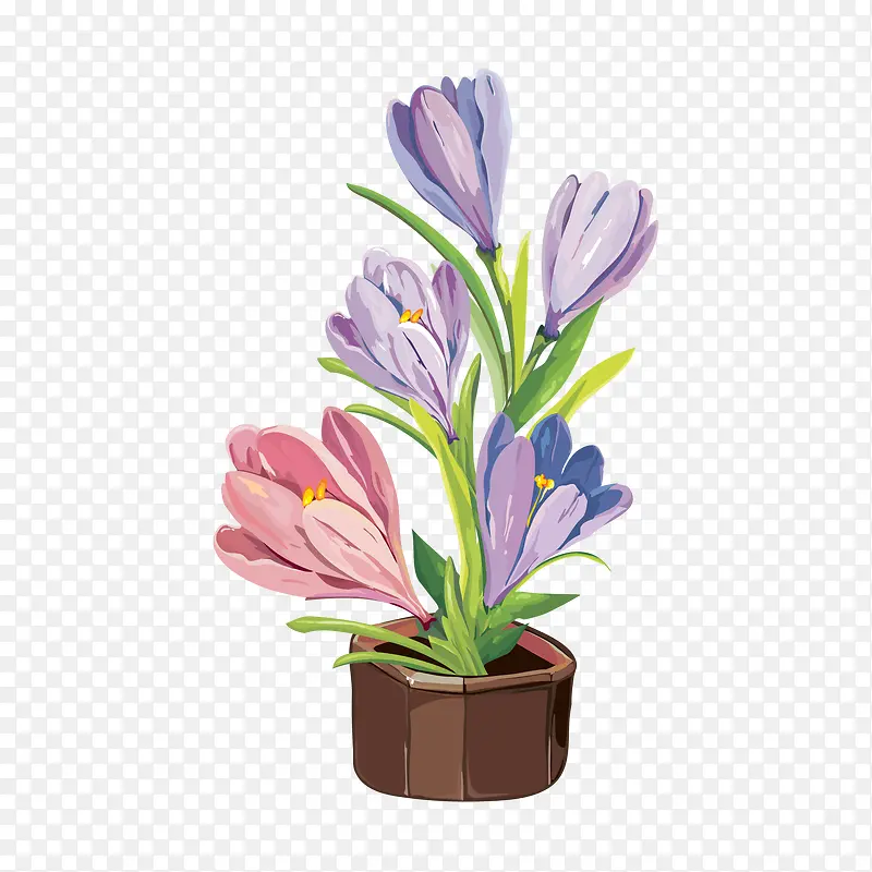 ��ͨ�ֻ滨����-������