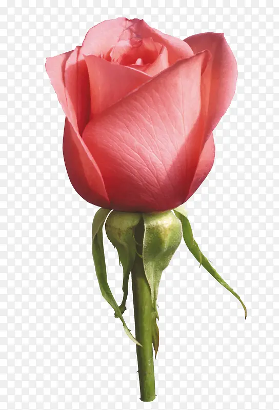 �ʻ������زĻ���ͼ���ز�-������