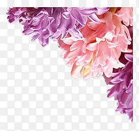 ˮ�ʻ���-������