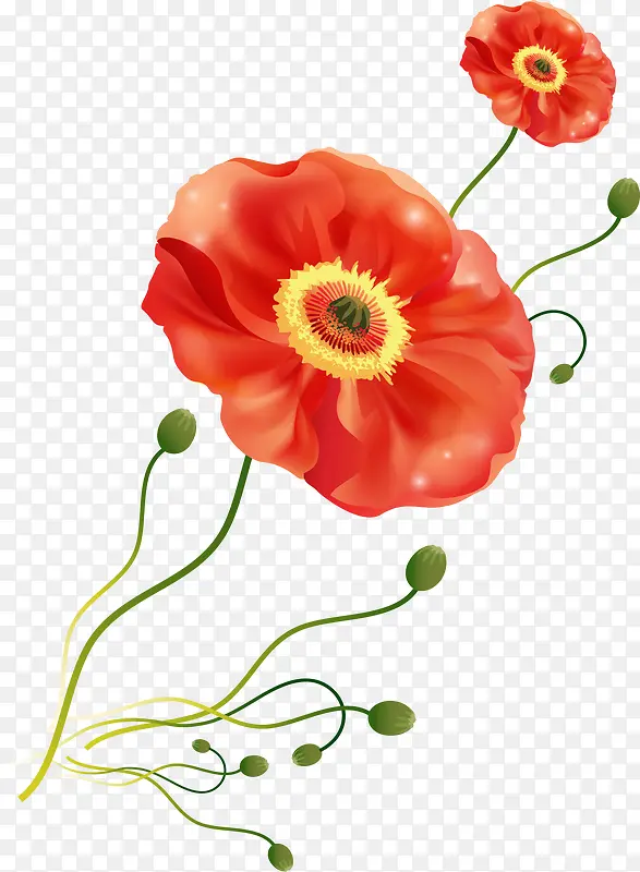 ������ͨ�ֻ滨��-������