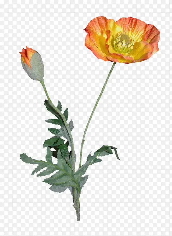 �ʻ�ʸ���زĻ����ز�-������