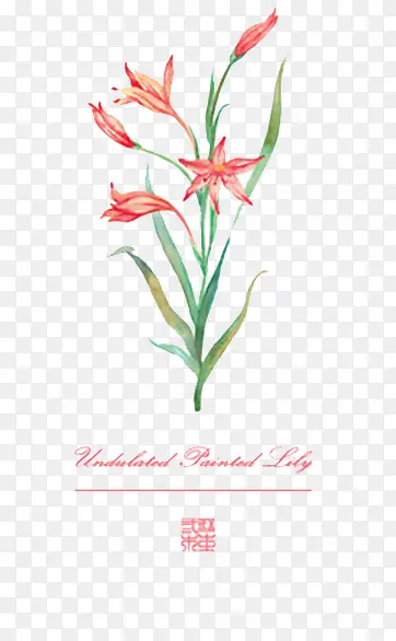 ˮ�ʻ��� ����-������