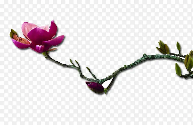 ����-������