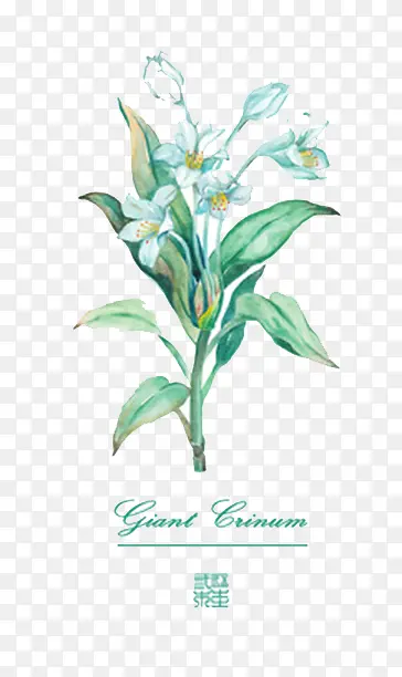 ˮ�ʻ��� ����-������