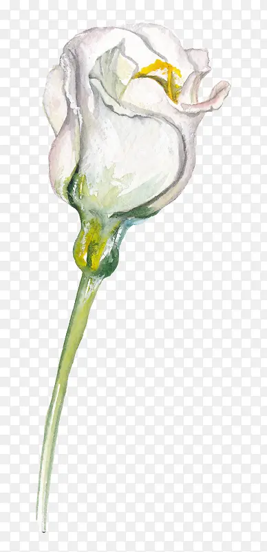 ˮ�ʷ�Ҷ��װ��-������