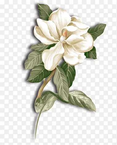 �ֻ滨��-������