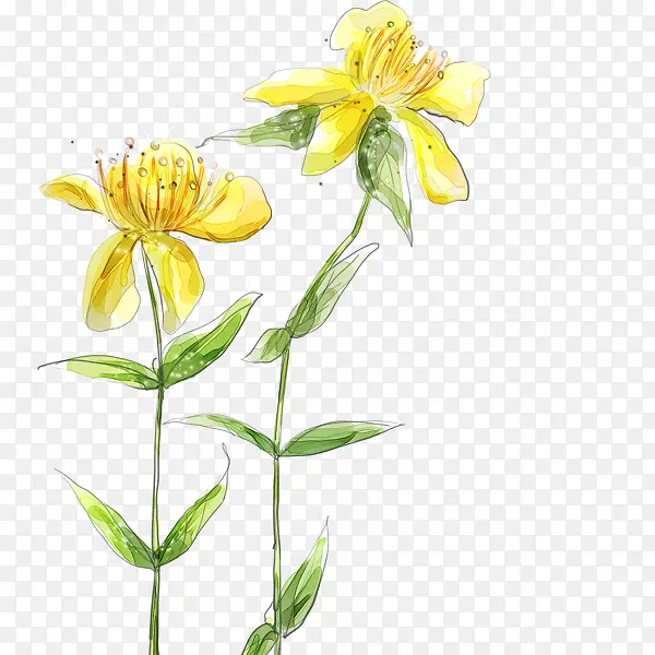 �ֻ滨��-������