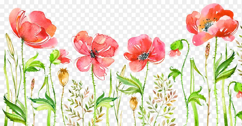 ˮ��Ψ����ɫ����廭-������