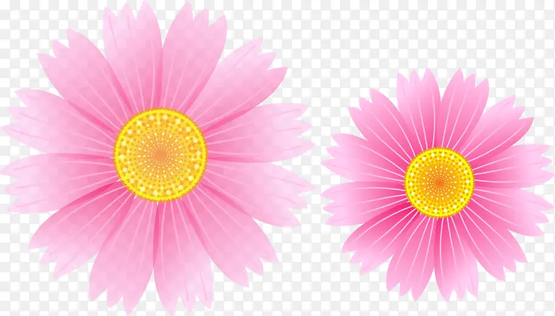 �ֻ�ʸ������-������