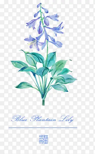 ˮ�ʻ��� ����-������