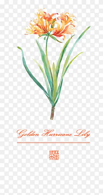 ˮ�ʻ��� ����-������