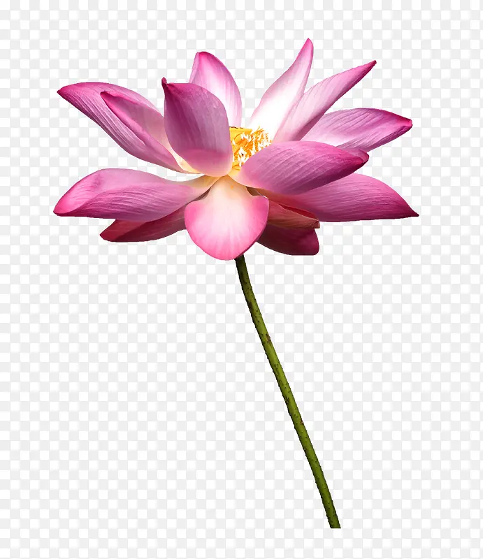 �ֻ滨���زĻ���-������