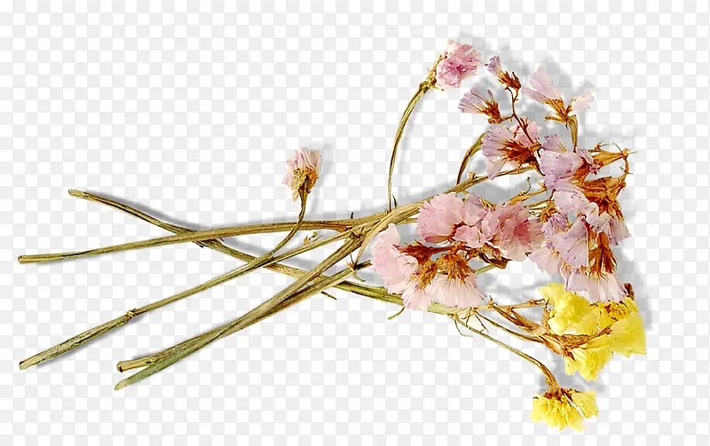 ��ͨ�ֻ�װ�λ���-������