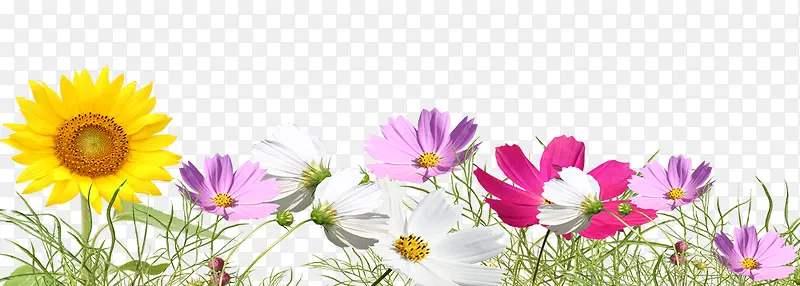 ��ͨ�ֻ��ɫ�ʻ�ͼ-������