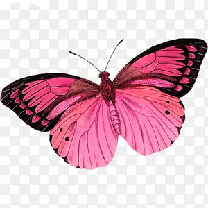 ���������ز�PNG���ͼ�ز�-������