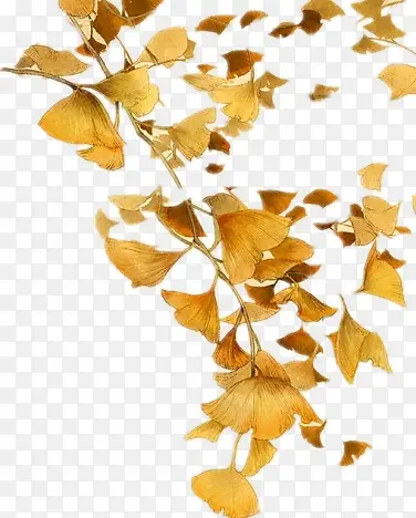 �����زĻ��� PNG���ͼ�ز�-������