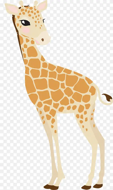 ��ͨ¹ʸ���ز�-������