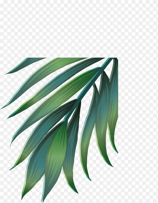 ��Ҷ�زģ��Ա��زģ���ɫ-������