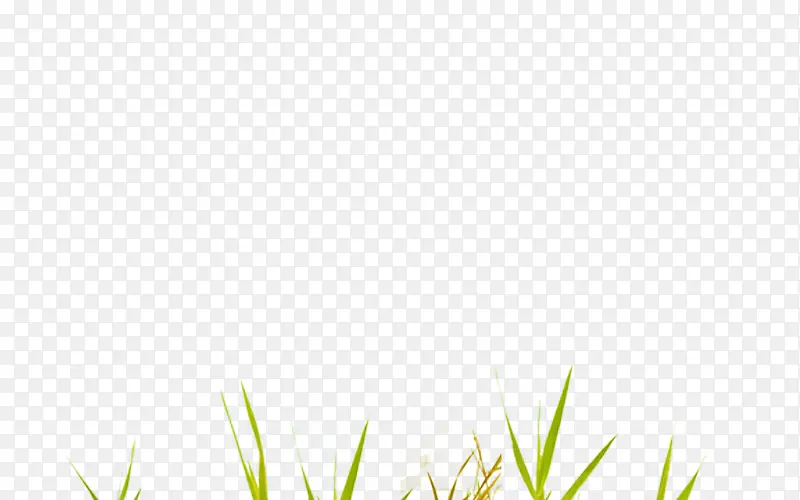 ��ɫС���ز�-������