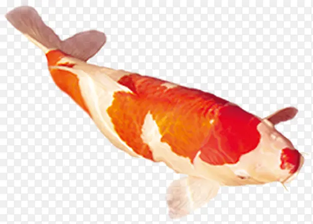 �ֻ洴��������ͼ-������