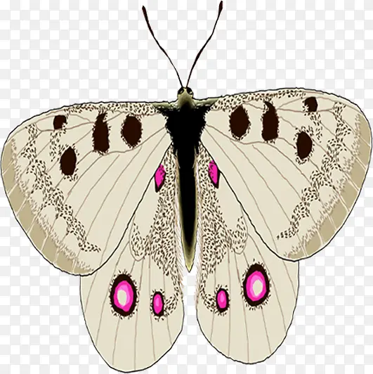 ��ɫ����������ͼ-������