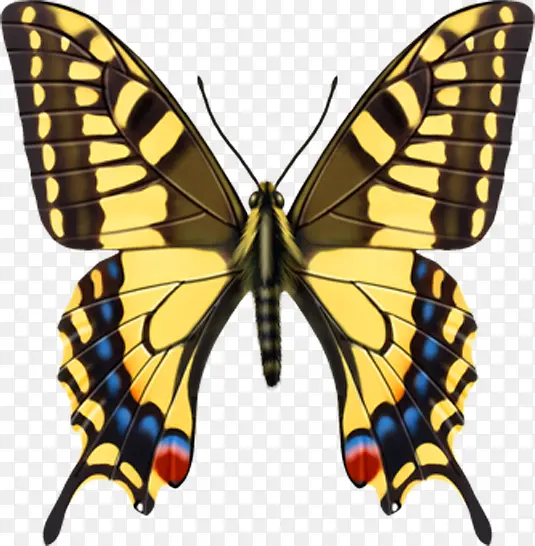 ��ɫ����չ����ͼ-������