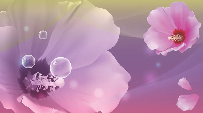 ����廭-������