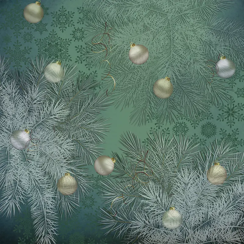 ʥ������ɫ����-������