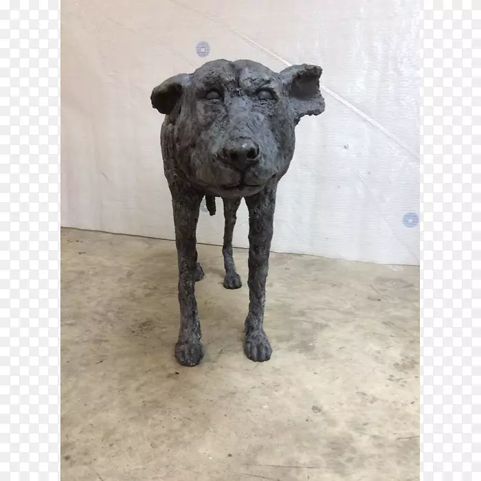 ���ܵ��񹷱��ӽ����๷-������