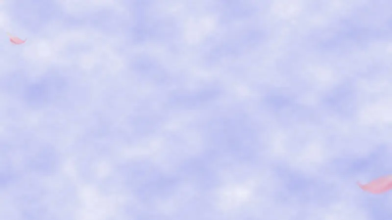 �ϰ�ɫʽ����װ��-������